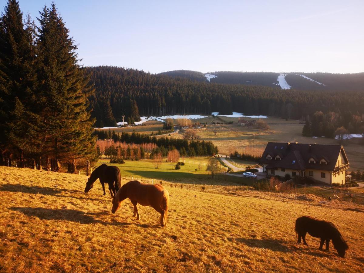 Villa Wichrowe Wzgorze Stronie Śląskie Esterno foto