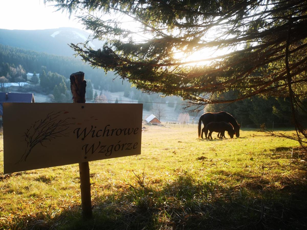 Villa Wichrowe Wzgorze Stronie Śląskie Esterno foto