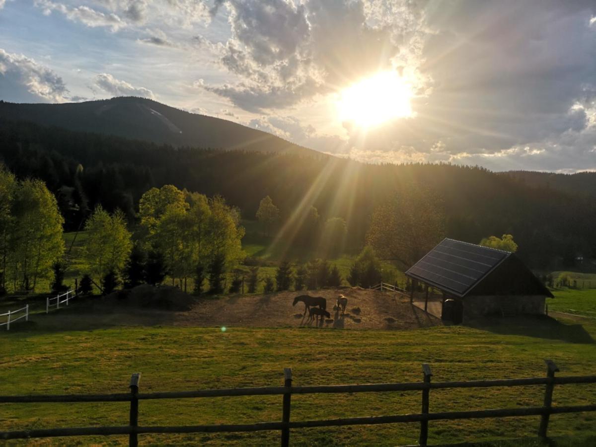 Villa Wichrowe Wzgorze Stronie Śląskie Esterno foto