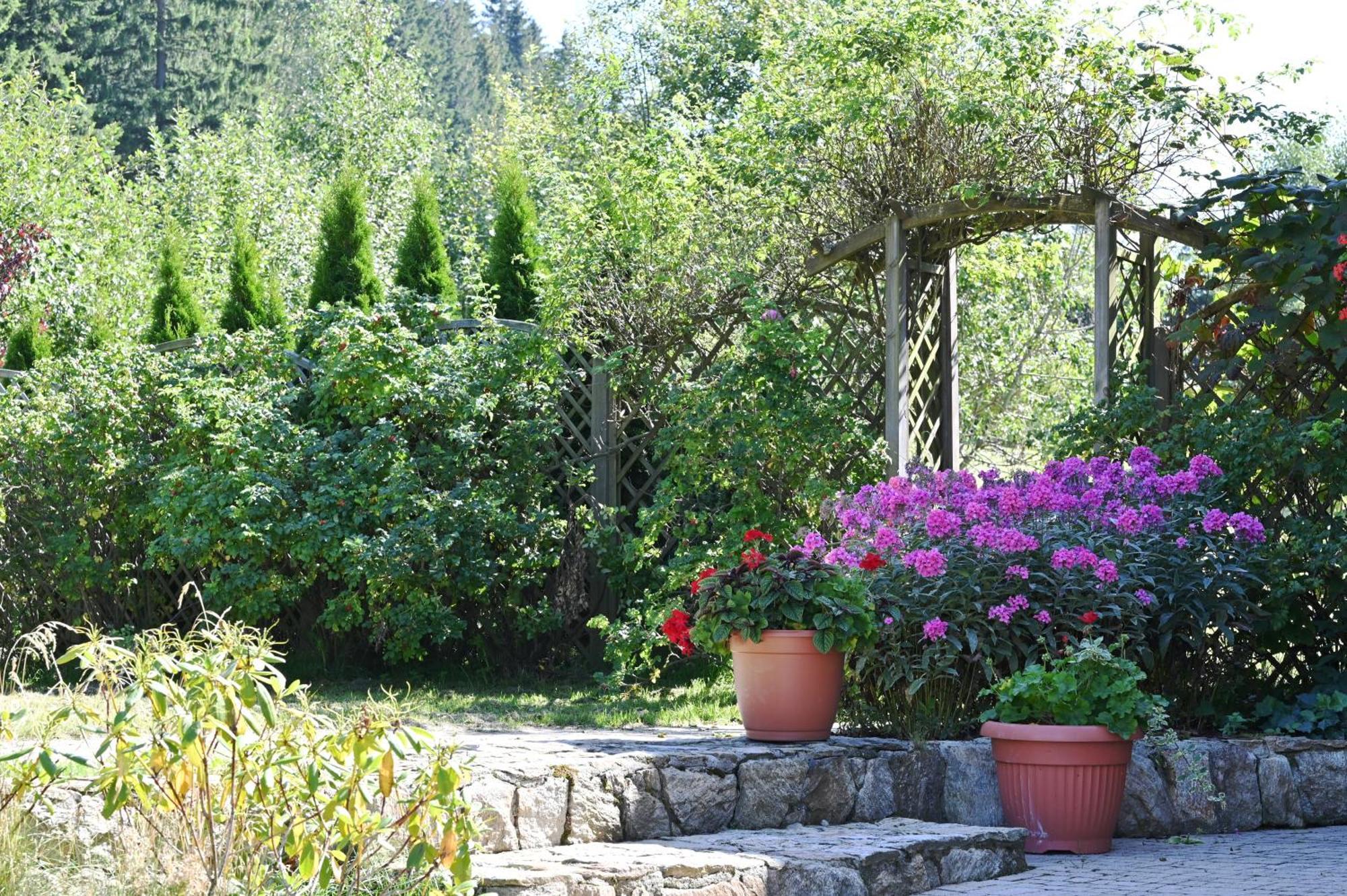 Villa Wichrowe Wzgorze Stronie Śląskie Esterno foto
