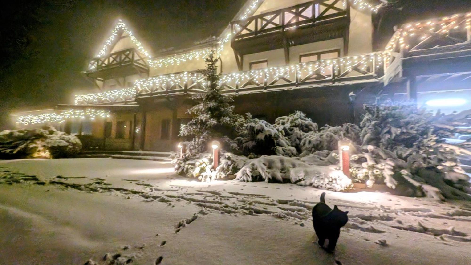 Villa Wichrowe Wzgorze Stronie Śląskie Esterno foto