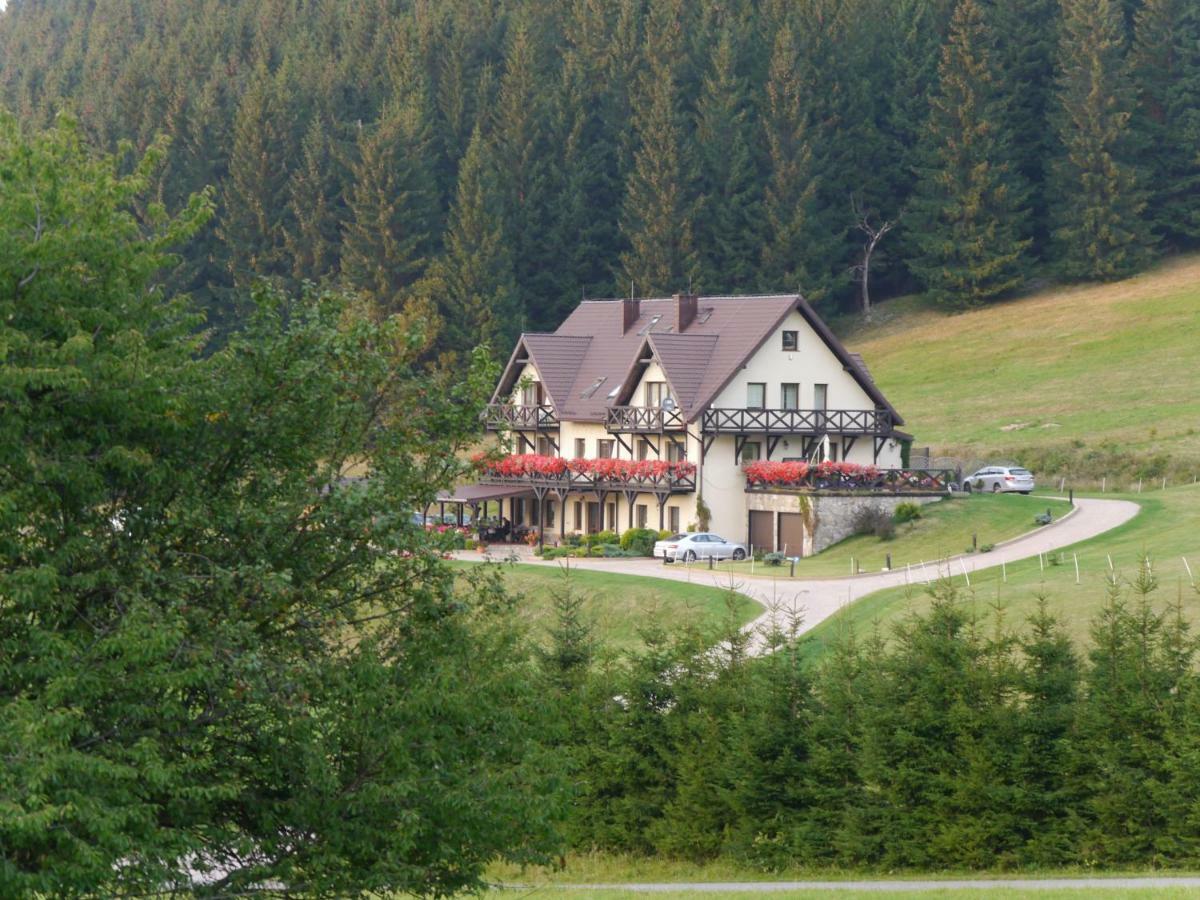 Villa Wichrowe Wzgorze Stronie Śląskie Esterno foto